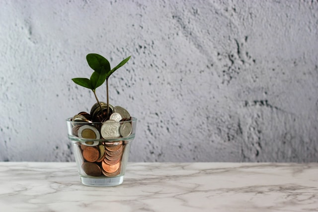 Grüne Pflanze im transparenten Glas mit Münzen
